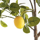 Faux Lemon Tree Drop-In 49"