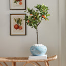 Faux Kumquat Tree Drop-In 33"