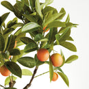 Faux Kumquat Tree Drop-In 33"