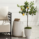Faux Lemon Tree Drop-In 37"