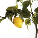Faux Lemon Tree Drop-In 37"