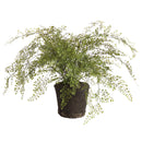 Maidenhair Drop-In 37"