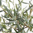 Olive Tree Drop-In 26"