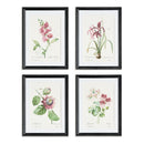 Blush Blooms Study St/4