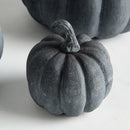 Sculpted Pumpkins St/3