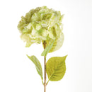 Mophead Hydrangea Stems 30.5", Set Of 4