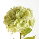 Mophead Hydrangea Stems 30.5", Set Of 4