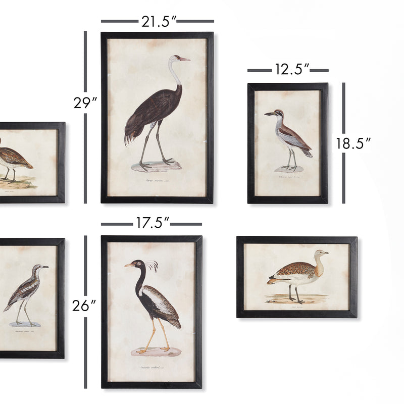 NAPA Home & Garden, WATERFOWL GALLERY, SET OF 6,NA211