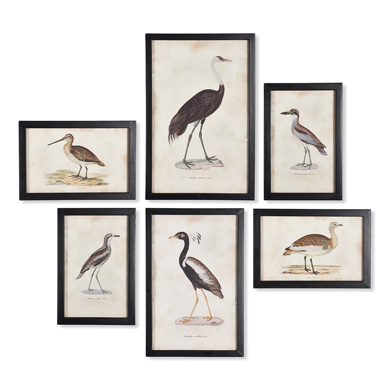 NAPA Home & Garden, WATERFOWL GALLERY, SET OF 6,NA211