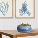 NAPA Home & Garden, CASPIAN DECORATIVE BOWL,NAN238