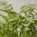 NAPA Home & Garden, SOFT FERN DROP-IN Collection