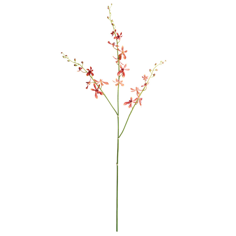 NAPA Home & Garden, ORCHID STEM 38",NCC505