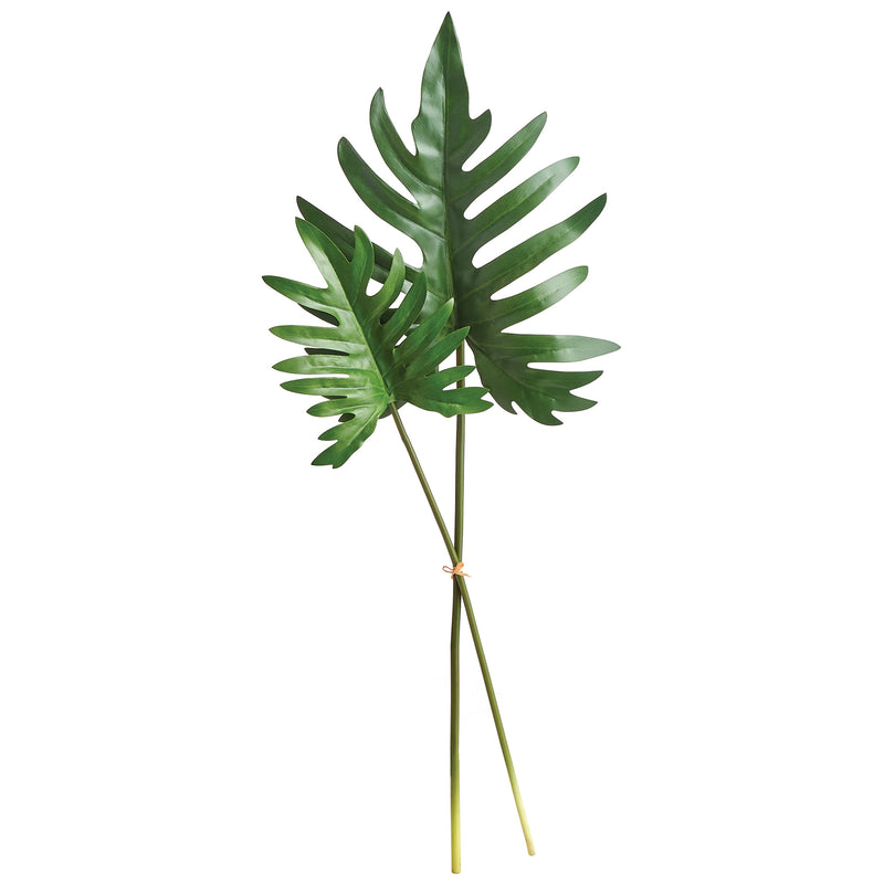 NAPA Home & Garden, SPLIT LEAF SELLOUM STEMS, BUNDLE OF 2,NCC506