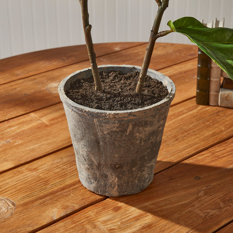 NAPA Home & Garden, FIDDLE LEAF FIG POTTED 43",NCC509