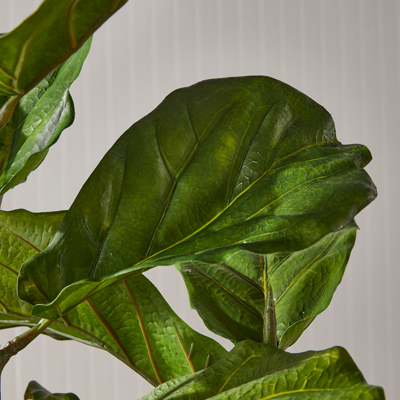 NAPA Home & Garden, FIDDLE LEAF FIG POTTED 43",NCC509