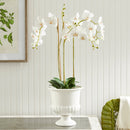 Mirabelle Decorative Pedestal Bowl by NAPA Home & Garden