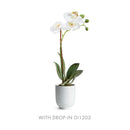 NAPA Home & Garden, MIA Mini Pot Collection