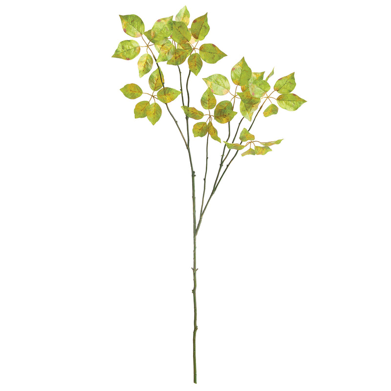 NAPA Home & Garden, VARIEGATED LEAF BRANCH 43",NGP500