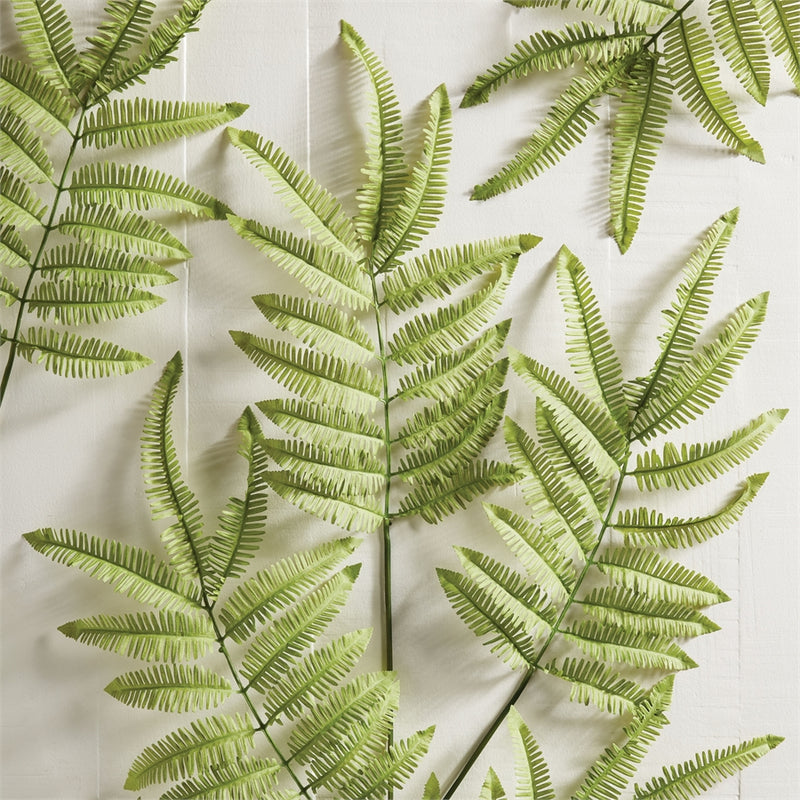 Napa Home Garden, TREE FERN STEM 42.5",ngp502