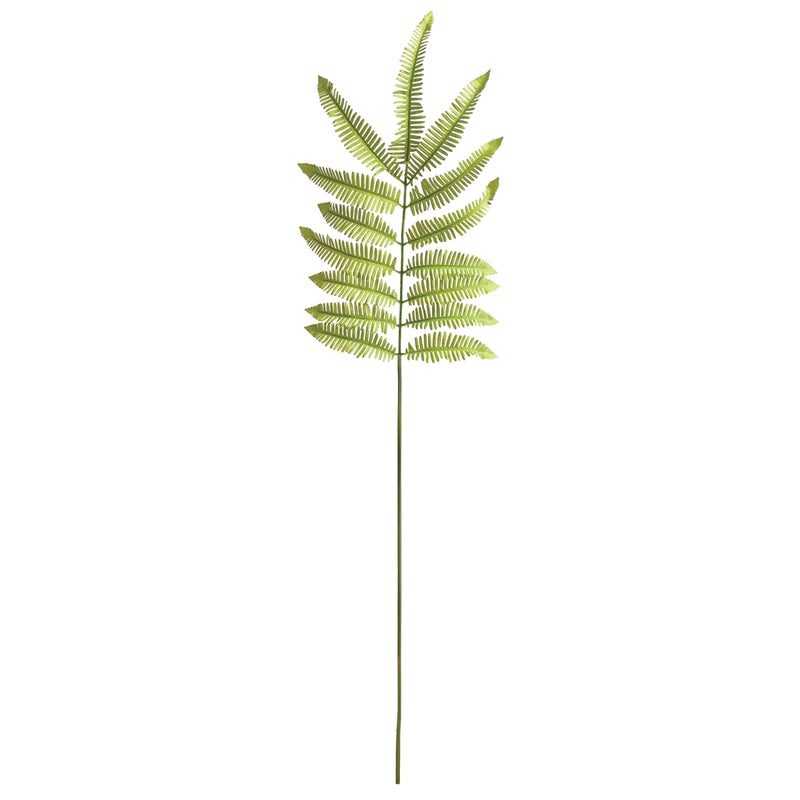 Napa Home Garden, TREE FERN STEM 42.5",ngp502