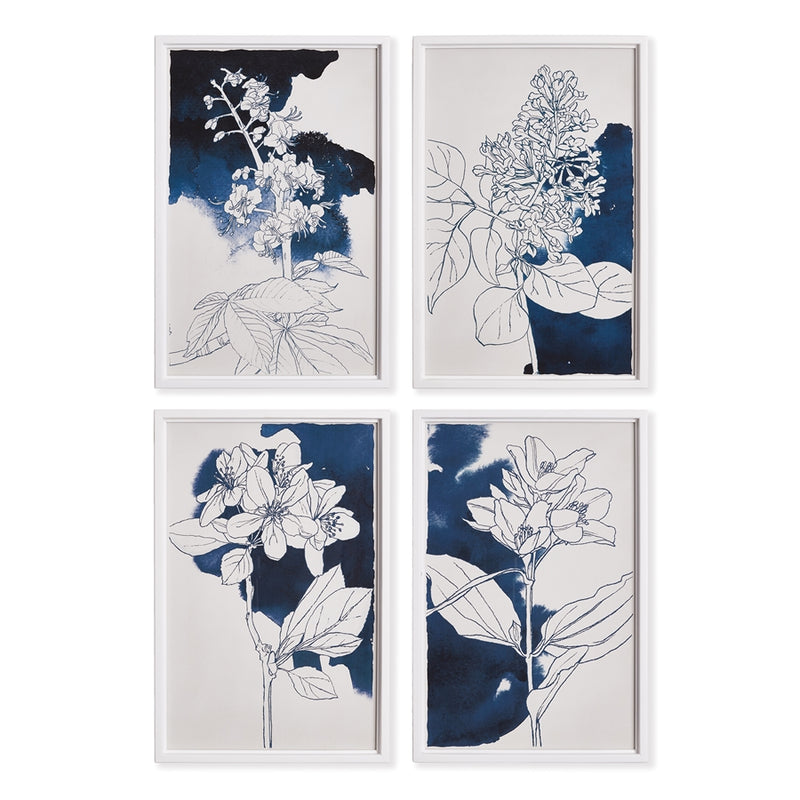 Napa Home Garden, STUDIO FLORAL SKETCHES ,SET OF 4,nh240