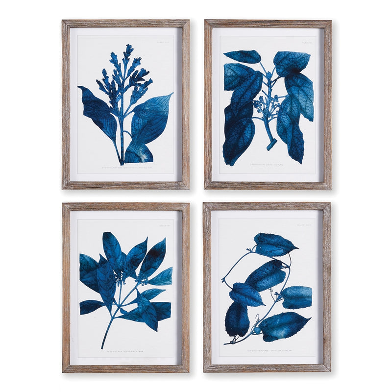 Napa Home Garden, INDIGO BOTANICALS ,SET OF 4,nh401