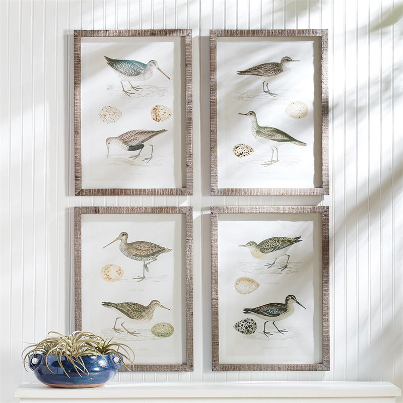 Napa Home Garden, COASTAL BIRDS STUDY ,SET OF 4,nh402