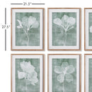 NAPA Home & Garden, TRANSLUCENT FLORAL PRINTS, SET OF 6,NH411