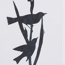 NAPA Home & Garden, BIRD SILHOUETTE PRINTS, SET OF 4,NH412