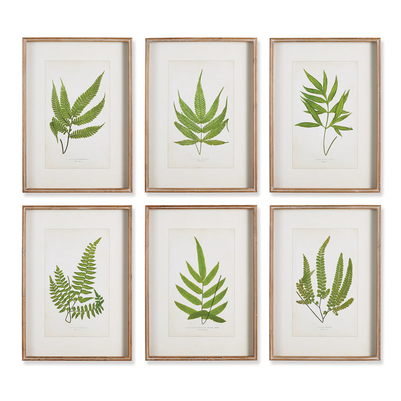 NAPA Home & Garden, FOREST GREENERY PRINTS, SET OF 6,NH413