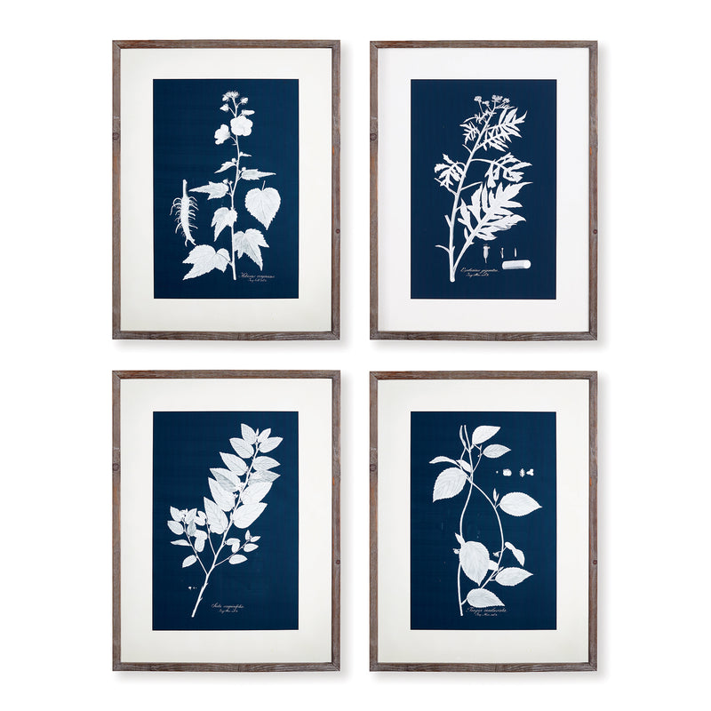 NAPA Home & Garden, CYANO BOTANICAL LEAF STUDY, SET OF 4,NH414