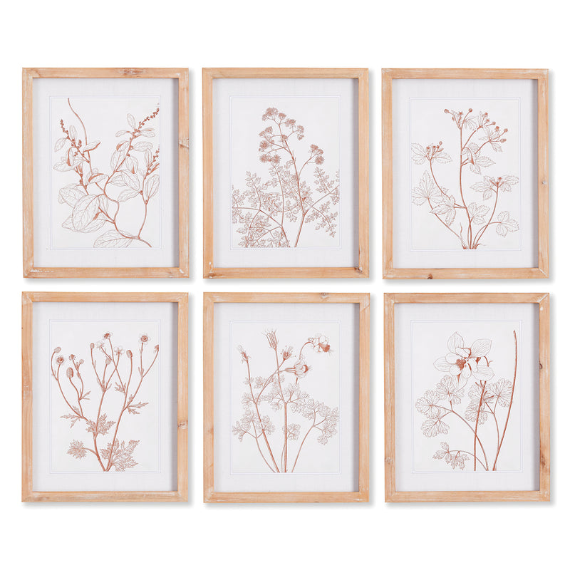 NAPA Home & Garden, BOTANICALS IN BLUSH PRINTS, SET OF 6,NNH503