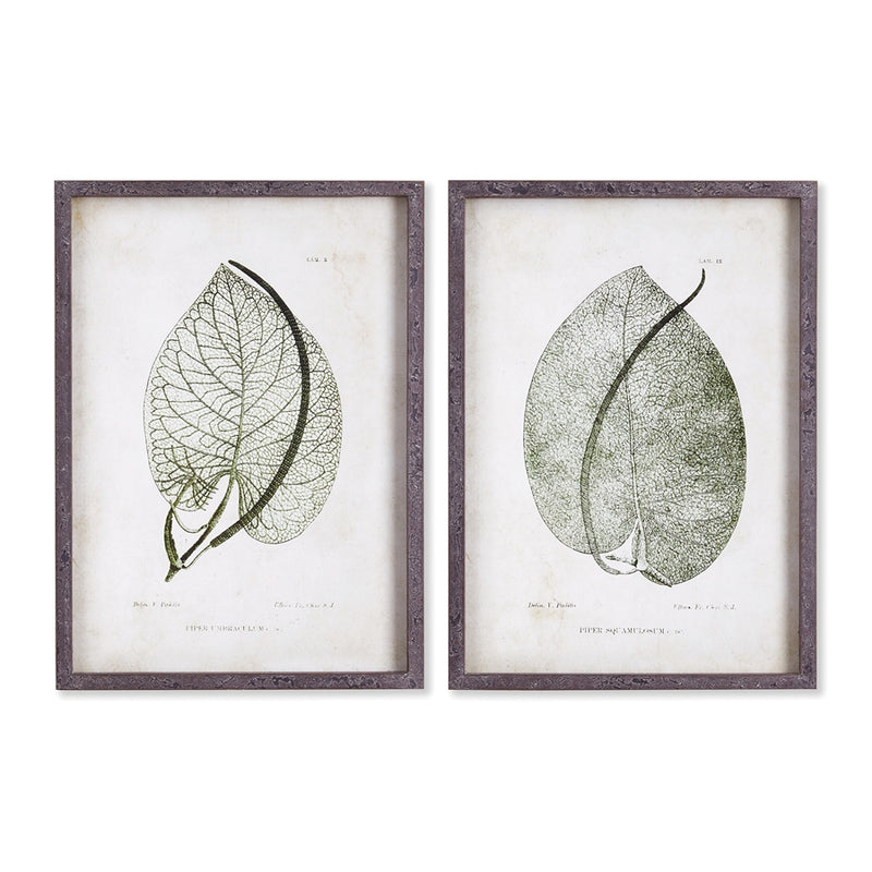 Napa Home Garden, CORDATE LEAF STUDY ,SET OF 2,nnh505