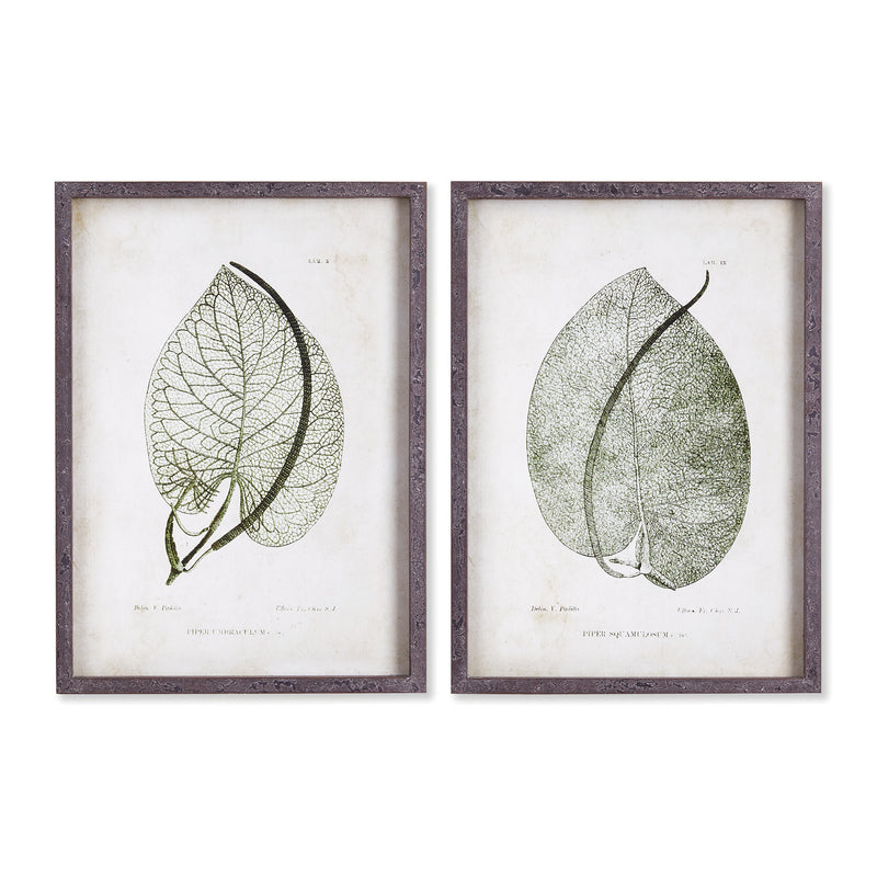 NAPA Home & Garden, CORDATE LEAF STUDY, SET OF 2,NNH505