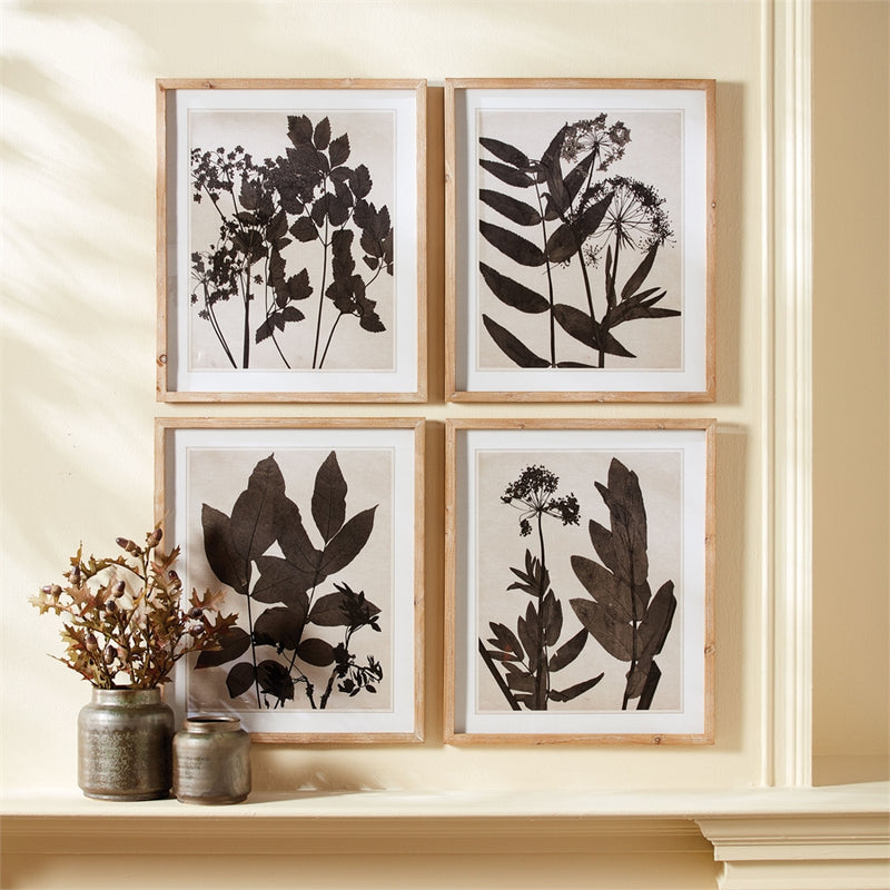 NAPA Home & Garden, PRESSED FOLIAGE PRINTS, SET OF 4,NNH507