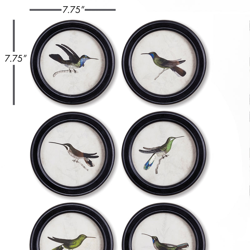 NAPA Home & Garden, HUMMINGBIRD ROUND PETITE PRINTS, SET OF 6,NNH508