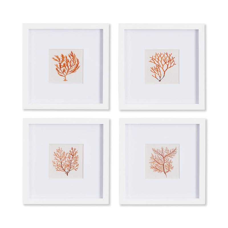 NAPA Home & Garden, BRANCH CORAL PETITE PRINTS, SET OF 4,NNH515