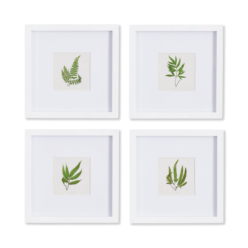 NAPA Home & Garden, FOREST GREENERY PETITE PRINTS, SET OF 4,NNH516