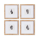 NAPA Home & Garden, SEASHELL PETITE PRINTS, SET OF 4,NNH517