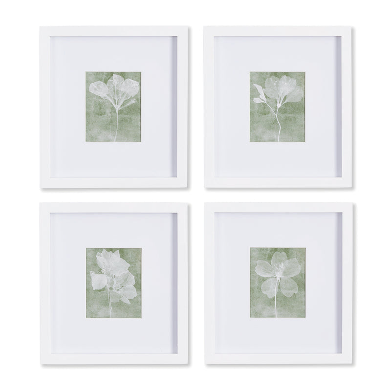 NAPA Home & Garden, TRANSLUCENT FLORAL PETITE PRINTS, SET OF 4,NNH518