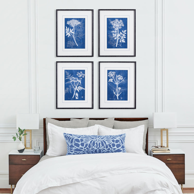 NAPA Home & Garden, CYANOTYPE QUEEN ANNES LACE PRINTS, SET OF 4,NNH520