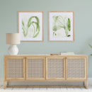 NAPA Home & Garden, AQUATIC LEAF PRINTS, SET OF 2,NNH521