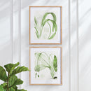 NAPA Home & Garden, AQUATIC LEAF PRINTS, SET OF 2,NNH521