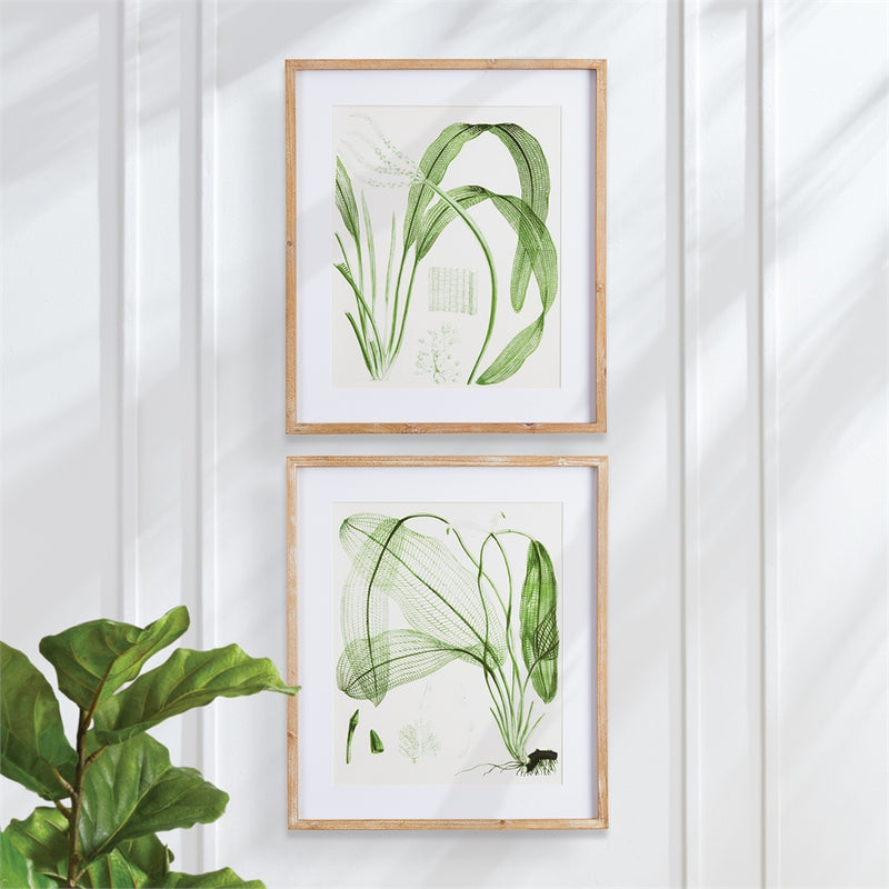 Napa Home Garden, AQUATIC LEAF PRINTS ,SET OF 2,nnh521