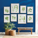 NAPA Home & Garden, AQUATIC LEAF PRINTS, SET OF 2,NNH521