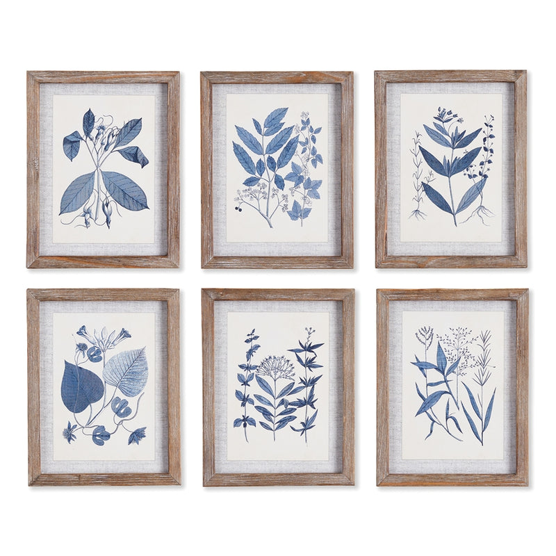 Napa Home Garden, BLUE LEAF PETITE PRINTS ,SET OF 6,nnh524