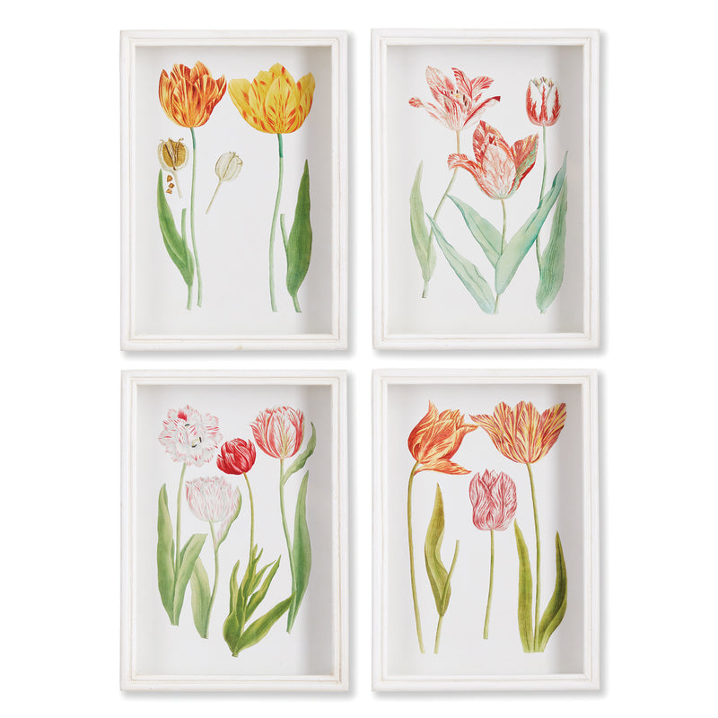 NAPA Home & Garden, TULIP PRINTS, SET OF 4,NNH526