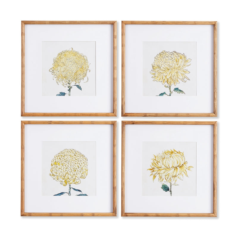 Napa Home Garden, CHRYSANTHEMUM PRINTS ,SET OF 4,nnh530