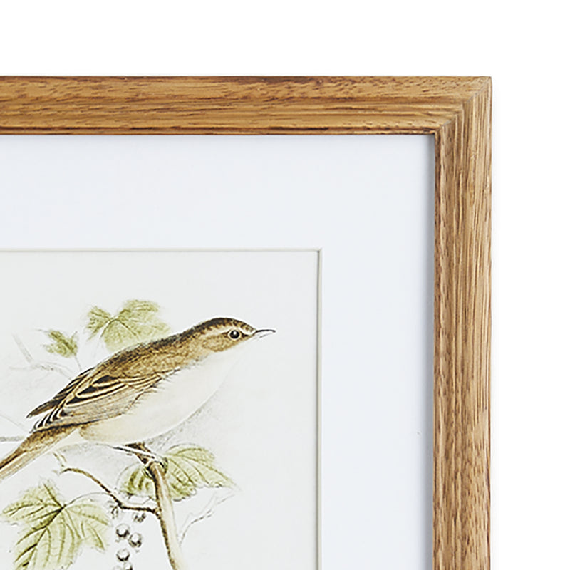 NAPA Home & Garden, PERCHING BIRD STUDY PETITE, SET OF 4,NNH539