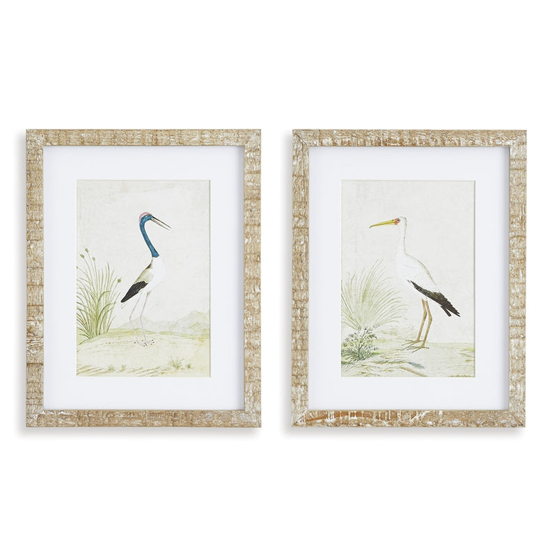 Napa Home Garden, WADING BIRD PRINTS ,SET OF 2,nnh543